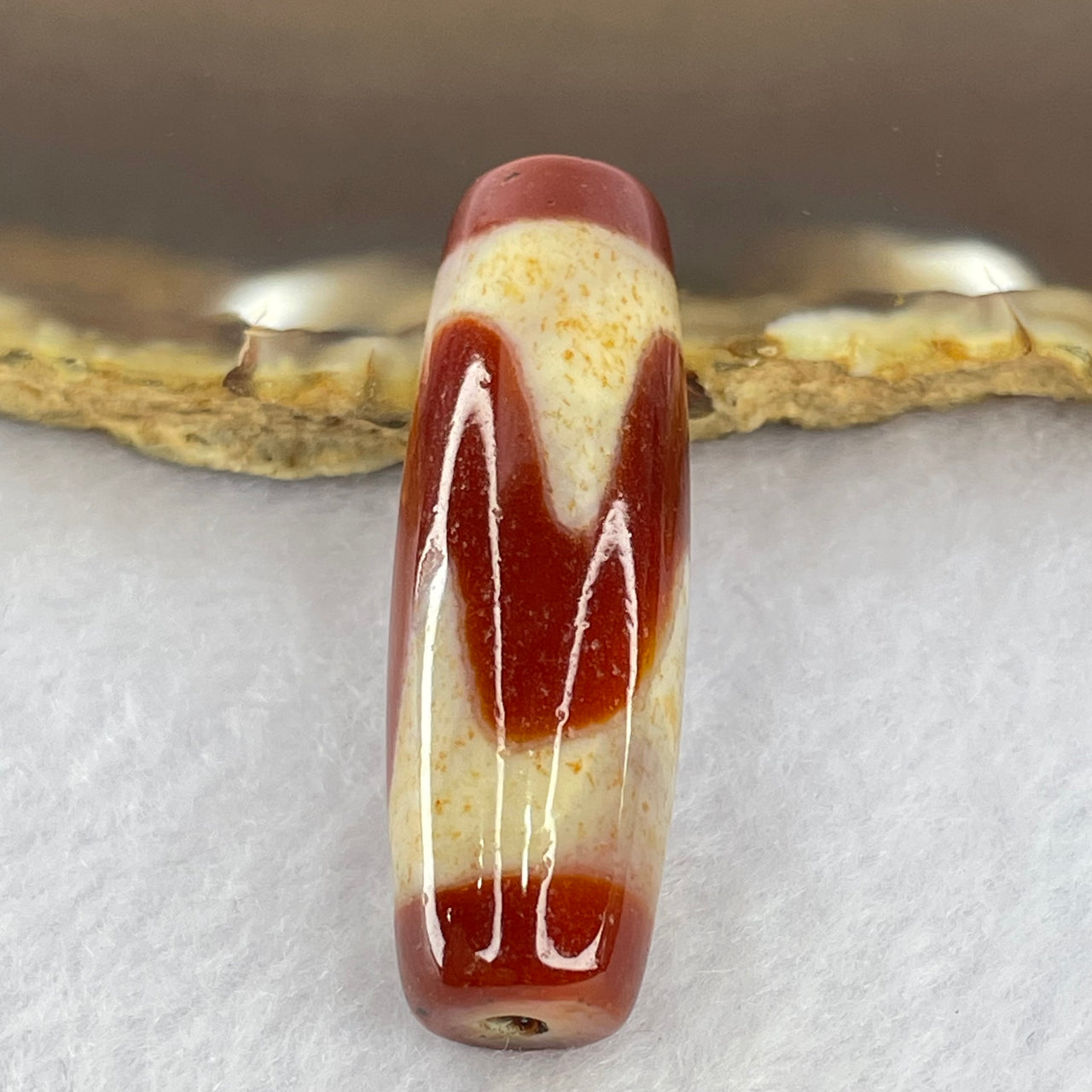 Natural Powerful Tibetan Old Oily Red Yellowish White Agate Tiger Tooth Daluo Dzi Bead Heavenly Master (Tian Zhu) 虎牙天珠 10.13g 38.8 by 12.8mm - Huangs Jadeite and Jewelry Pte Ltd