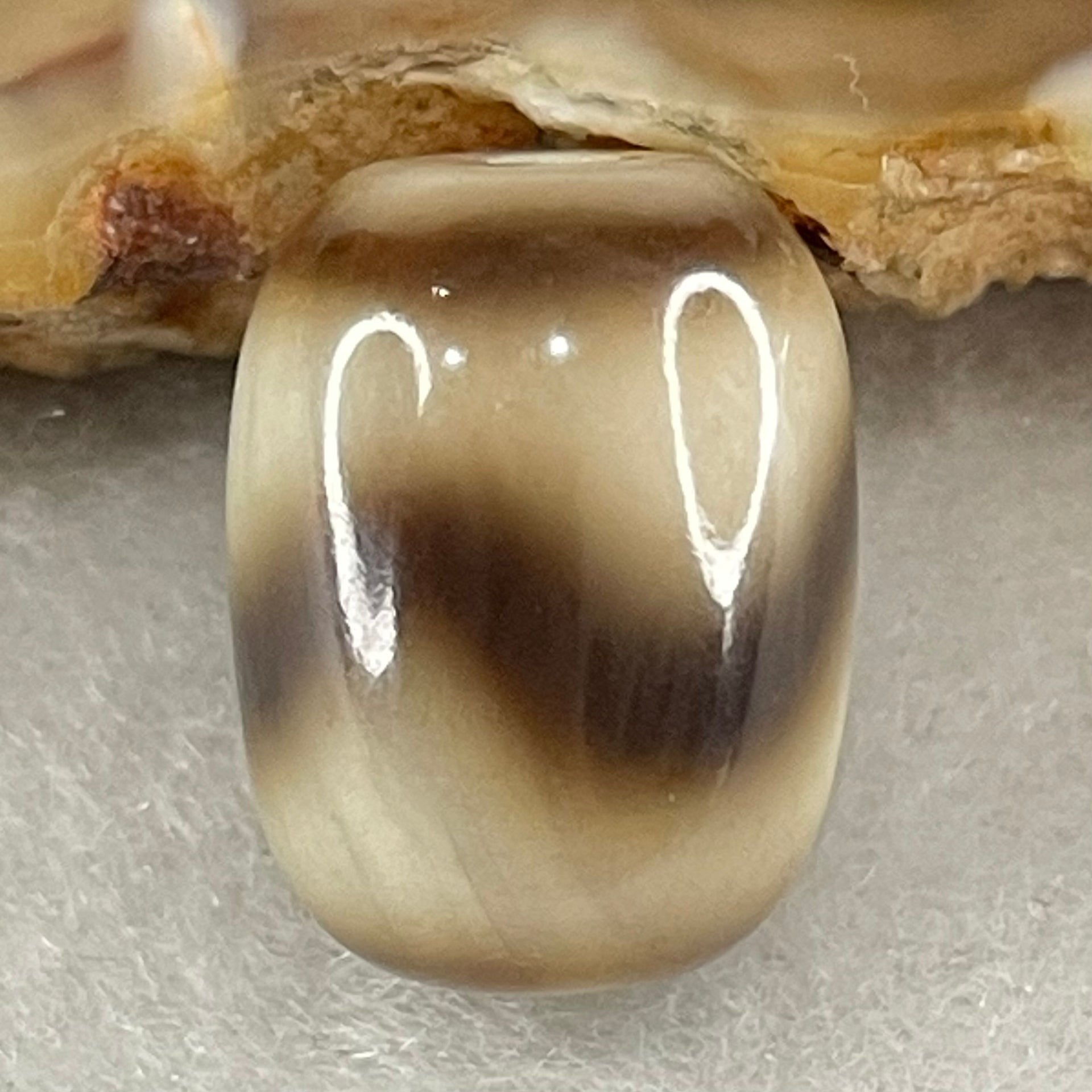 Natural Powerful Tibetan Old Oily Agate Tiger Tooth Daluo Dzi Bead Heavenly Master (Tian Zhu) 2.43g 13.7 by 10.6mm - Huangs Jadeite and Jewelry Pte Ltd