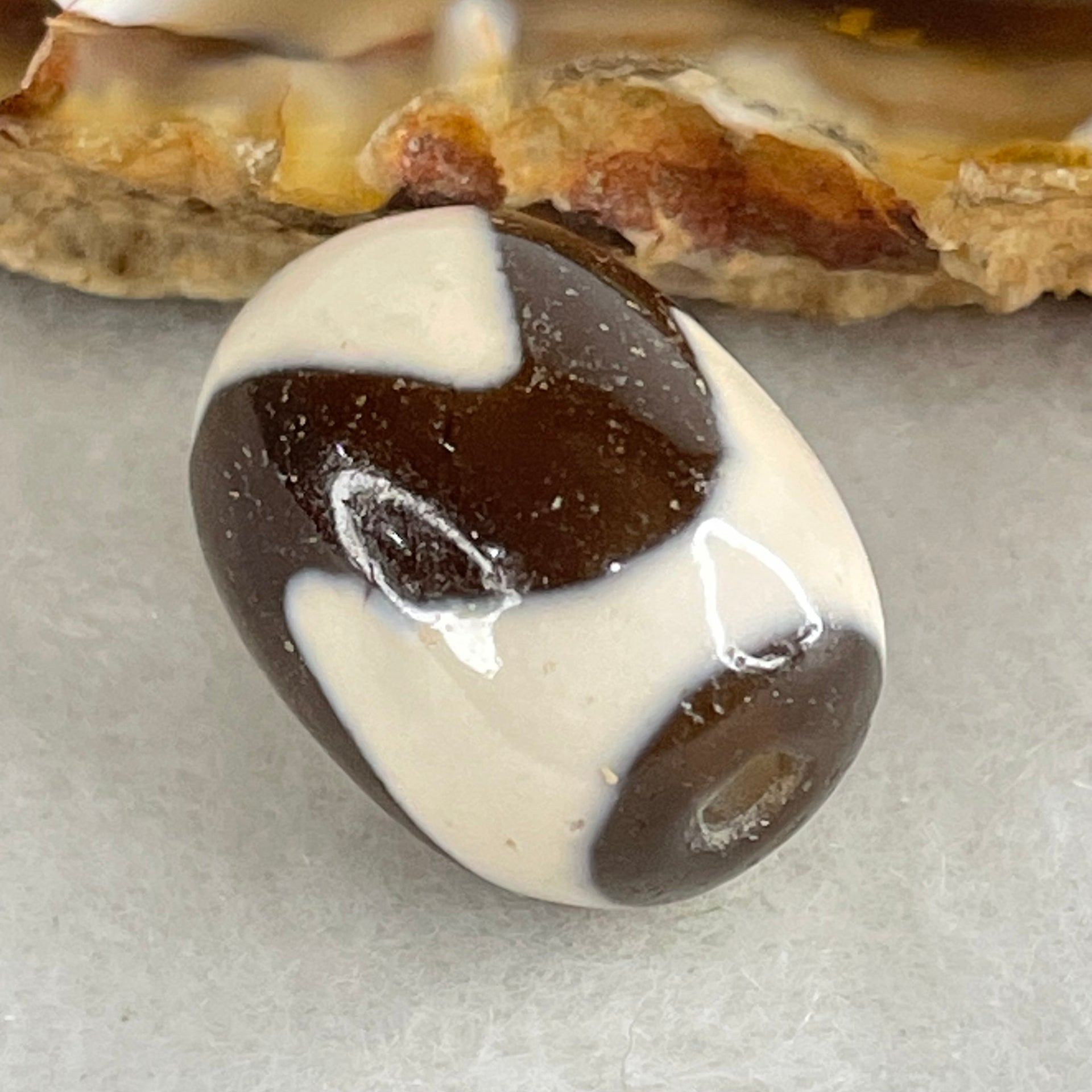 Natural Powerful Tibetan Old Oily Agate Tiger Tooth Daluo Dzi Bead Heavenly Master (Tian Zhu) 虎呀天诛 4.40g 17.4 by 12.9mm - Huangs Jadeite and Jewelry Pte Ltd