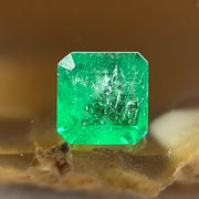 Natural Colombia Green Emerald (Beryl) Cut-Cornered Rectangular step cut 0.85ct 5.4 by 5.3 by 4.0mm - Huangs Jadeite and Jewelry Pte Ltd