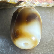 Natural Powerful Tibetan Old Oily Agate Tiger Tooth Daluo Dzi Bead Heavenly Master (Tian Zhu) 2.38g 13.7 by 10.4mm - Huangs Jadeite and Jewelry Pte Ltd