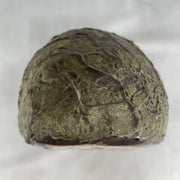 Natural Amethyst Cave with Wooden Stand 3,899.5g 142.8 by 151.0 by 245.0mm - Huangs Jadeite and Jewelry Pte Ltd