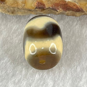 Natural Powerful Tibetan Old Oily Agate Tiger Tooth Daluo Dzi Bead Heavenly Master (Tian Zhu) 虎呀天诛 2.40g 13.5 by 10.3mm - Huangs Jadeite and Jewelry Pte Ltd