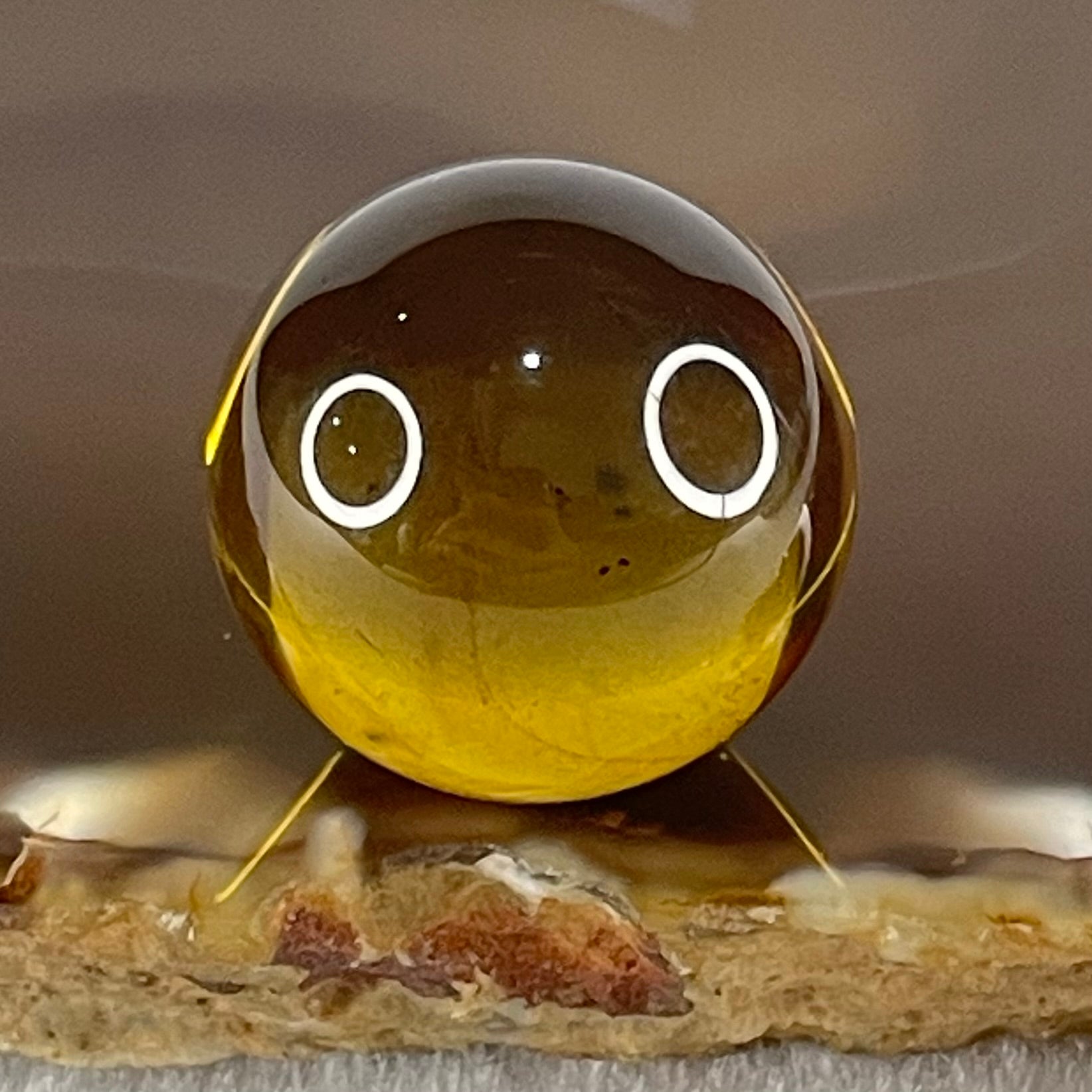 Natural Yellow Amber For Setting 5.00g 21.0mm - Huangs Jadeite and Jewelry Pte Ltd