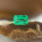 Natural Colombia Vivid Green Emerald (Beryl) Cut-Cornered Rectangular Step cut 0.44ct 5.4 by 3.9 by 2.6mm - Huangs Jadeite and Jewelry Pte Ltd