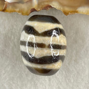 Natural Powerful Tibetan Old Oily Agate Double Tiger Tooth Daluo Dzi Bead Heavenly Master (Tian Zhu) 7.48g 20.4 by 16.2mm - Huangs Jadeite and Jewelry Pte Ltd