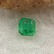 Natural Colombia Vivid Green Emerald (Beryl) Cut-Cornered Square Step cut 0.41ct 4.8 by 4.8 by 2.4mm - Huangs Jadeite and Jewelry Pte Ltd