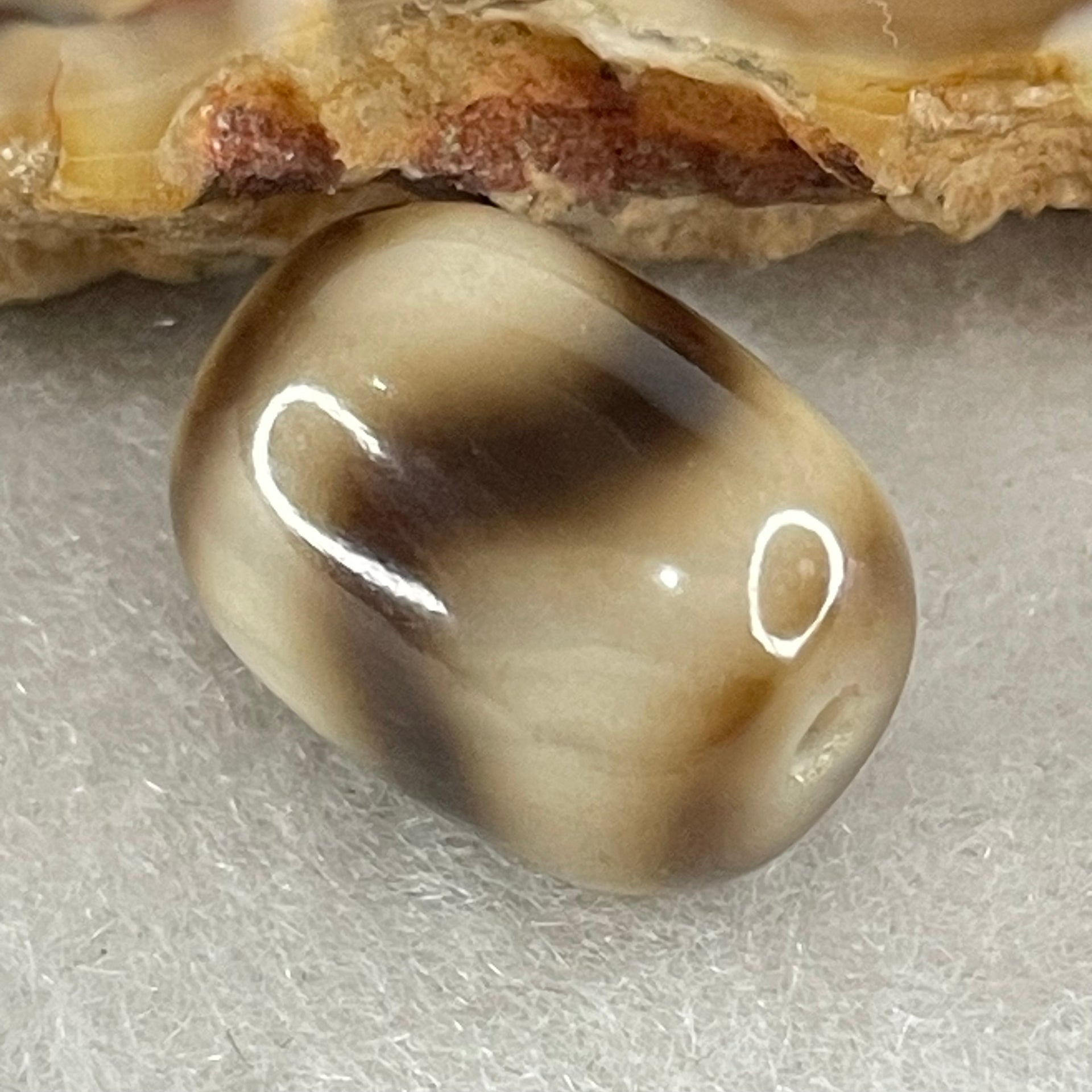 Natural Powerful Tibetan Old Oily Agate Tiger Tooth Daluo Dzi Bead Heavenly Master (Tian Zhu) 2.43g 13.7 by 10.6mm - Huangs Jadeite and Jewelry Pte Ltd