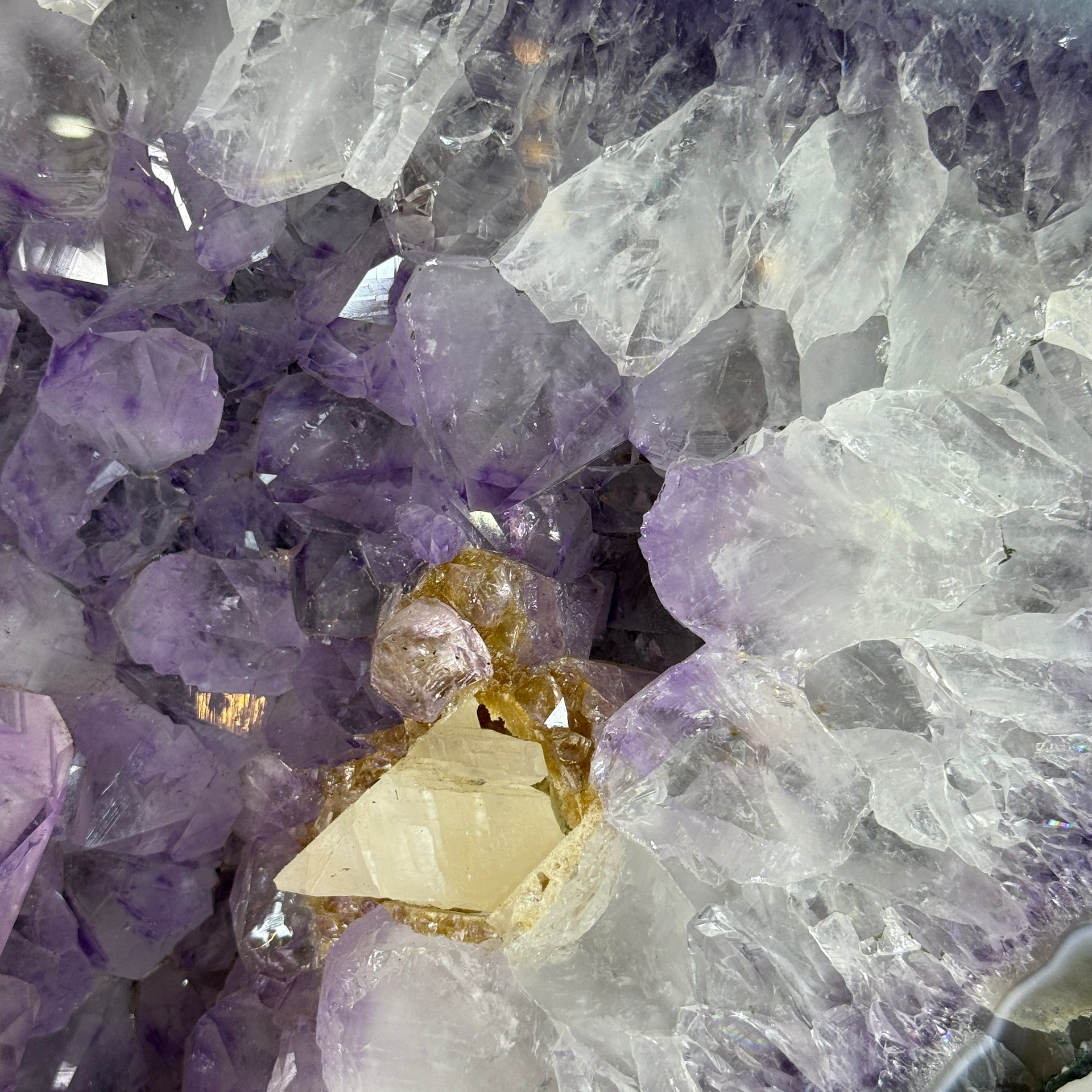 Natural Tree Shape Amethyst Cave with Wooden Stand Display 27,441.2g 410 by 235.0 by 505.0mm - Huangs Jadeite and Jewelry Pte Ltd