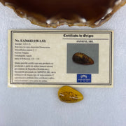 Natural Amber for Setting 1.53g 25.1 by 16.1 by 7.3mm - Huangs Jadeite and Jewelry Pte Ltd