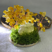 Natural Citrine Money Tree with Rough Citrine Display 139.62g 90.2 by 66.8 by 74.4mm - Huangs Jadeite and Jewelry Pte Ltd