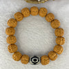 Natural Bodhi Rudraksha Seed Mala 金风 Beads Bracelet with 3 Eyes Dzi Bead Tian Zhu 天珠 21.00g 13.5mm 17 Beads - Huangs Jadeite and Jewelry Pte Ltd