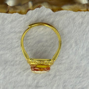 Natural Honey Yellow Amber with Milk Inclusions in S925 Sliver Gold Color Ring (Adjustable Size) 2.32g 9.7 by 9.0 by 4.0mm - Huangs Jadeite and Jewelry Pte Ltd