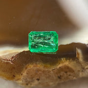 Natural Colombia Vivid Green Emerald (Beryl) Cut-Cornered Rectangular Step cut 0.45ct 5.4 by 3.9 by 2.6mm - Huangs Jadeite and Jewelry Pte Ltd