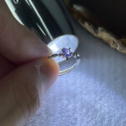 Natural Blue Tanzanite Ring in S925 Sliver 1.05g 4.0 by 2.5mm (Adjustable Size) - Huangs Jadeite and Jewelry Pte Ltd