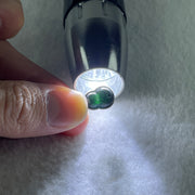 Type A FullyTranslucent Black Omphacite Jadeite Hulu 12.0 by 7.4 by 2.5mm with Cubic Zirconia in S925 Silver Earrings 4.30g - Huangs Jadeite and Jewelry Pte Ltd