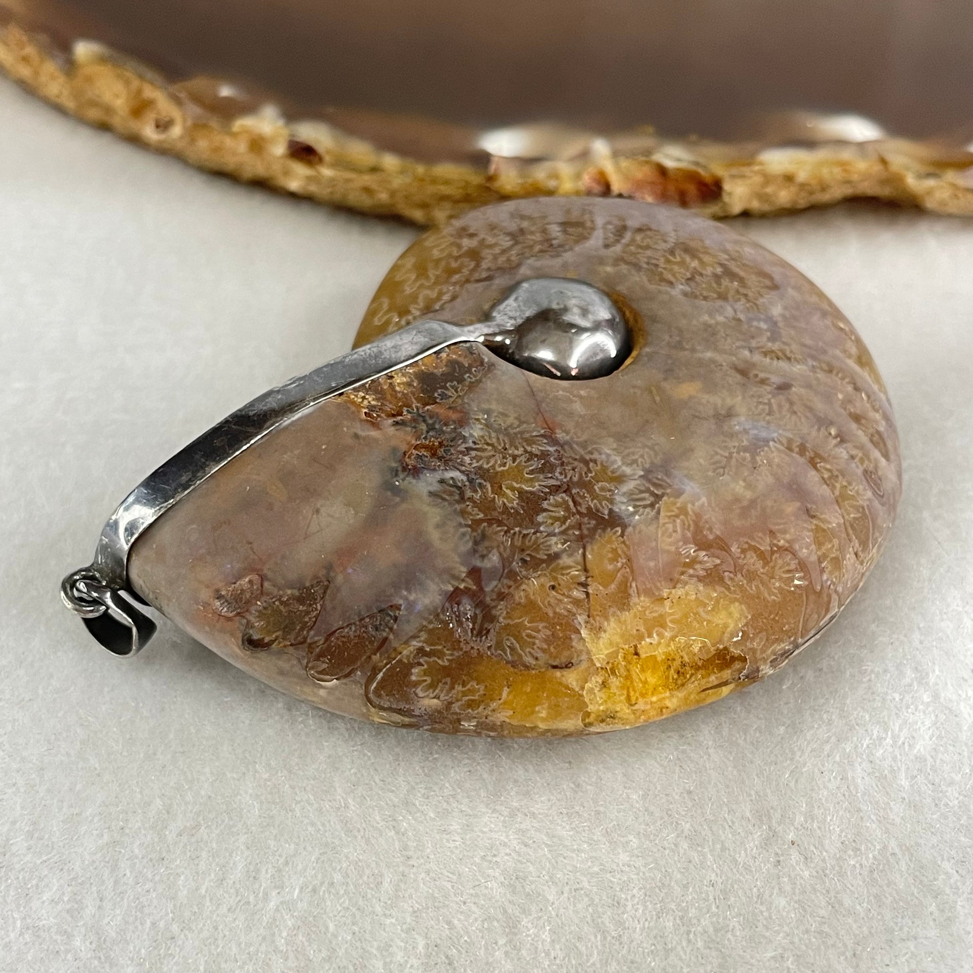 Natural Ammonite Fossil in Silver Pendant 71.05g 62.6 by 51.9 by 17.4mm - Huangs Jadeite and Jewelry Pte Ltd