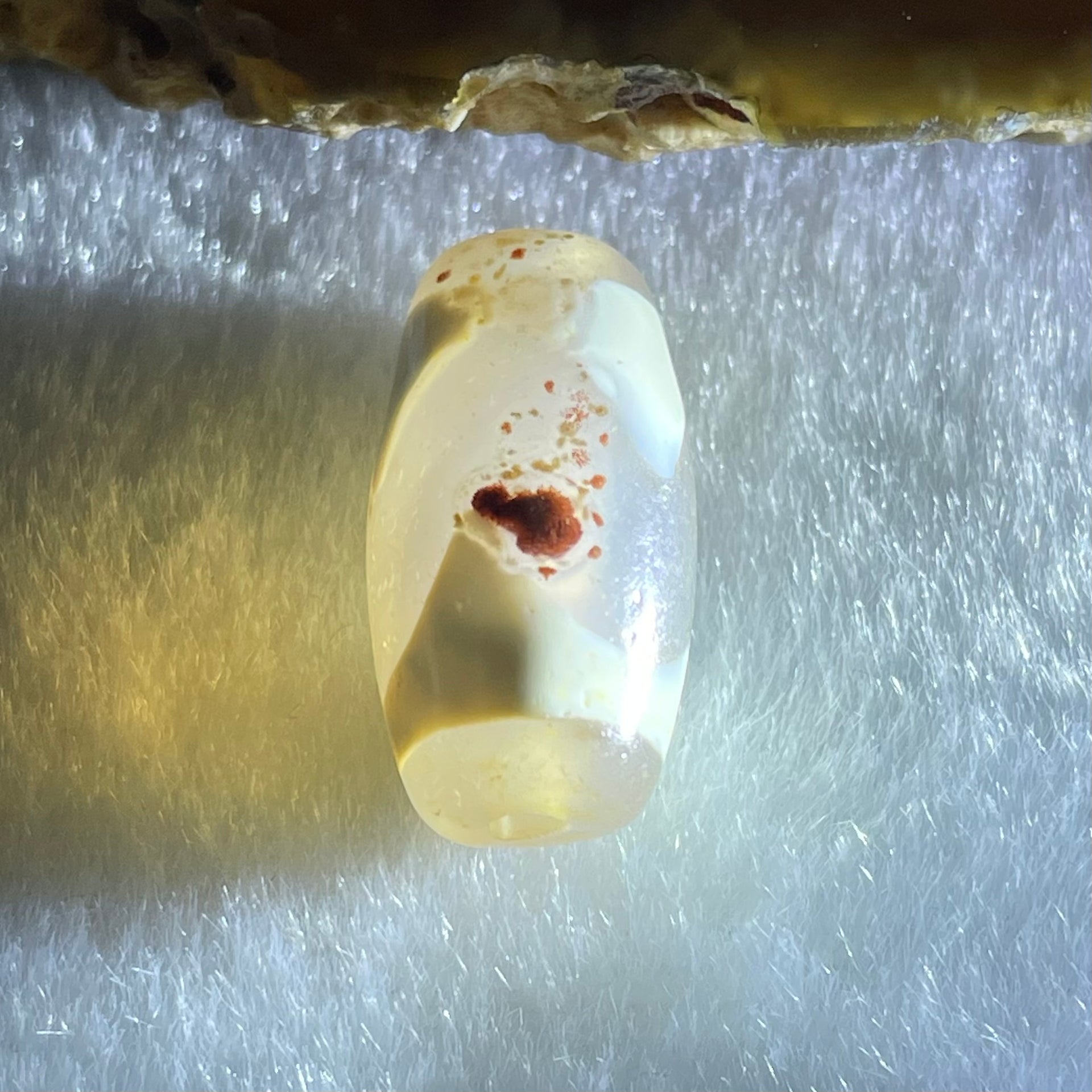 Natural Powerful Tibetan Old Oily Agate Tiger Tooth Daluo Dzi Bead Heavenly Master (Tian Zhu) 虎呀天诛 2.99g 19.7 by 10.2mm - Huangs Jadeite and Jewelry Pte Ltd