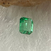 Natural Colombia Vivid Green Emerald (Beryl) Cut-Cornered Rectangular Step cut 0.08ct 2.7 by 2.0 by 1.8mm - Huangs Jadeite and Jewelry Pte Ltd