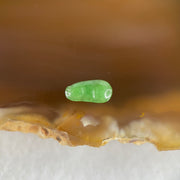 Type A Old Mine Full Green Jadeite Peapod Charm Stone For Setting 0.12g 8.5 by 4.4 by 1.4mm - Huangs Jadeite and Jewelry Pte Ltd