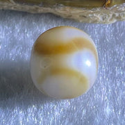 Natural Powerful Tibetan Old Oily Agate Tiger Tooth Daluo Dzi Bead Heavenly Master (Tian Zhu) 1.95g 9.7 by 11.0mm - Huangs Jadeite and Jewelry Pte Ltd