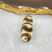 Natural Powerful Tibetan Old Oily Dark Brown White Yellow Agate Double Tiger Tooth Daluo Dzi Bead Heavenly Master (Tian Zhu) 双虎呀天诛 10.13g 37.0 by 13.3mm - Huangs Jadeite and Jewelry Pte Ltd