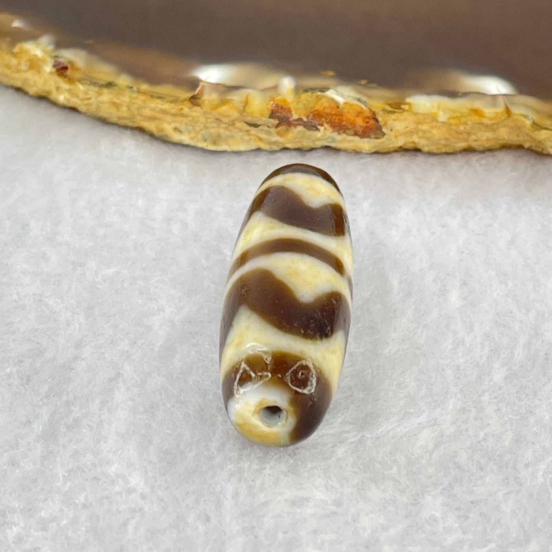 Natural Powerful Tibetan Old Oily Dark Brown White Yellow Agate Double Tiger Tooth Daluo Dzi Bead Heavenly Master (Tian Zhu) 双虎呀天诛 10.13g 37.0 by 13.3mm - Huangs Jadeite and Jewelry Pte Ltd
