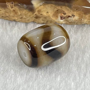 Natural Powerful Tibetan Old Oily Dark and Light Brown Agate Tiger Tooth Daluo Dzi Bead Heavenly Master (Tian Zhu) 2.84g 13.6 by 11.0mm - Huangs Jadeite and Jewelry Pte Ltd