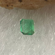 Natural Colombia Vivid Green Emerald (Beryl) Cut-Cornered Rectangular Step cut 0.08ct 2.7 by 2.0 by 1.8mm - Huangs Jadeite and Jewelry Pte Ltd