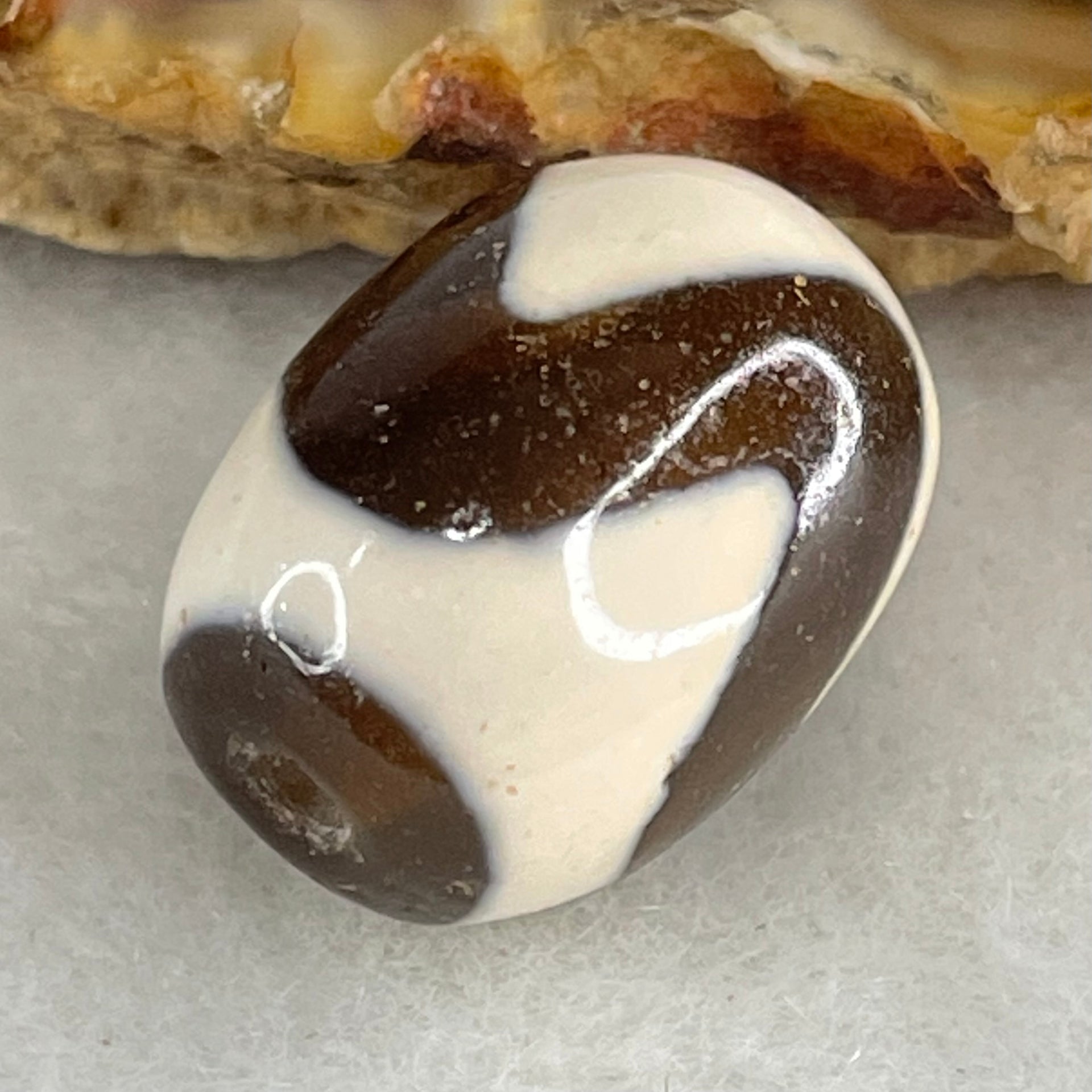 Natural Powerful Tibetan Old Oily Agate Tiger Tooth Daluo Dzi Bead Heavenly Master (Tian Zhu) 虎呀天诛 4.40g 17.4 by 12.9mm - Huangs Jadeite and Jewelry Pte Ltd