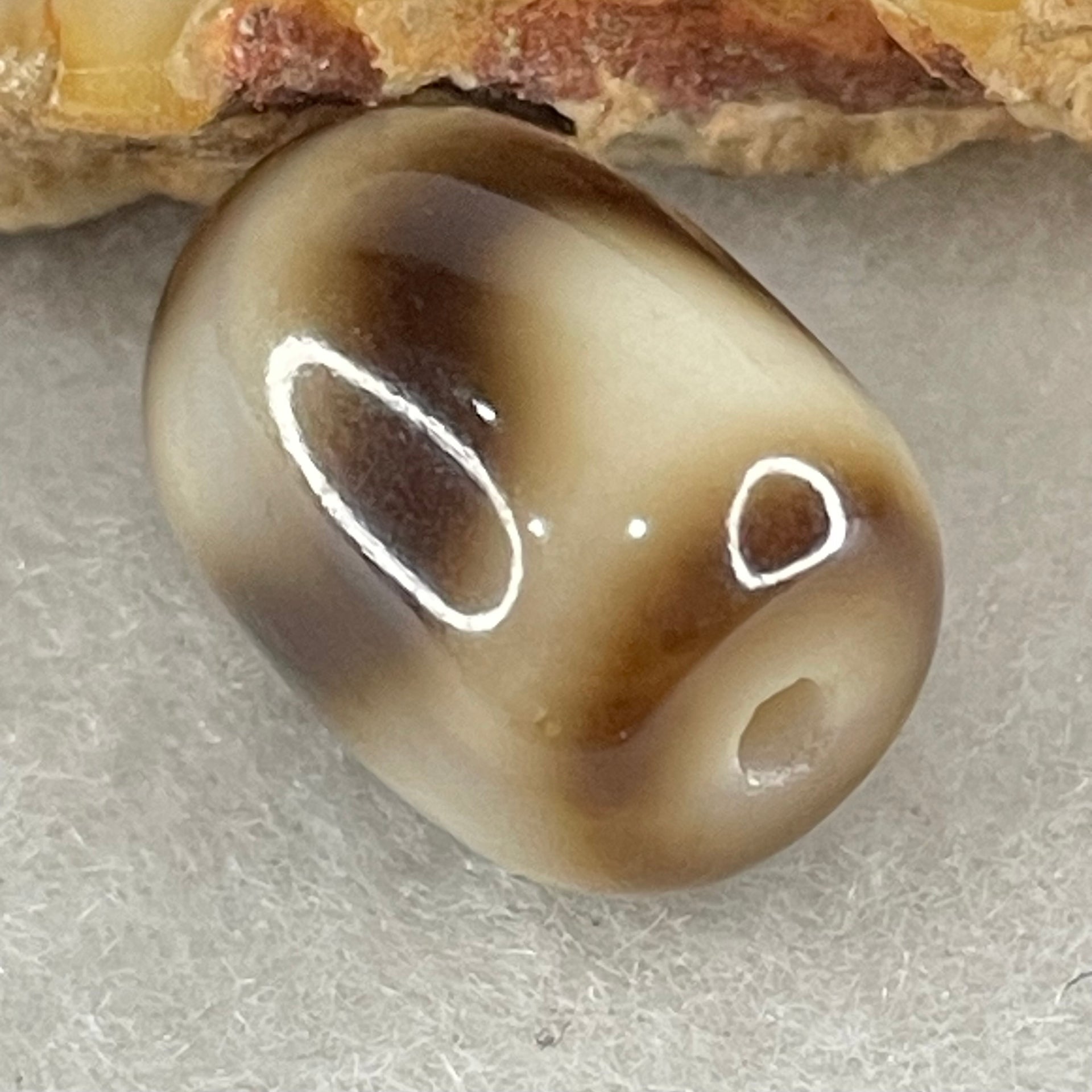 Natural Powerful Tibetan Old Oily Agate Tiger Tooth Daluo Dzi Bead Heavenly Master (Tian Zhu) 2.38g 13.7 by 10.4mm - Huangs Jadeite and Jewelry Pte Ltd