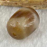 Natural Powerful Tibetan Old Oily Agate Tiger Tooth Daluo Dzi Bead Heavenly Master (Tian Zhu) 虎呀天诛 2.62g 13.8 by 11.0mm - Huangs Jadeite and Jewelry Pte Ltd