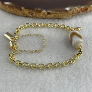 Natural Powerful Tibetan Old Oily Agate Tiger Tooth Daluo Dzi Bead with Stainless Steel Gold Color Bracelet 10.37g 16cm 19.1 by 10.1mm - Huangs Jadeite and Jewelry Pte Ltd