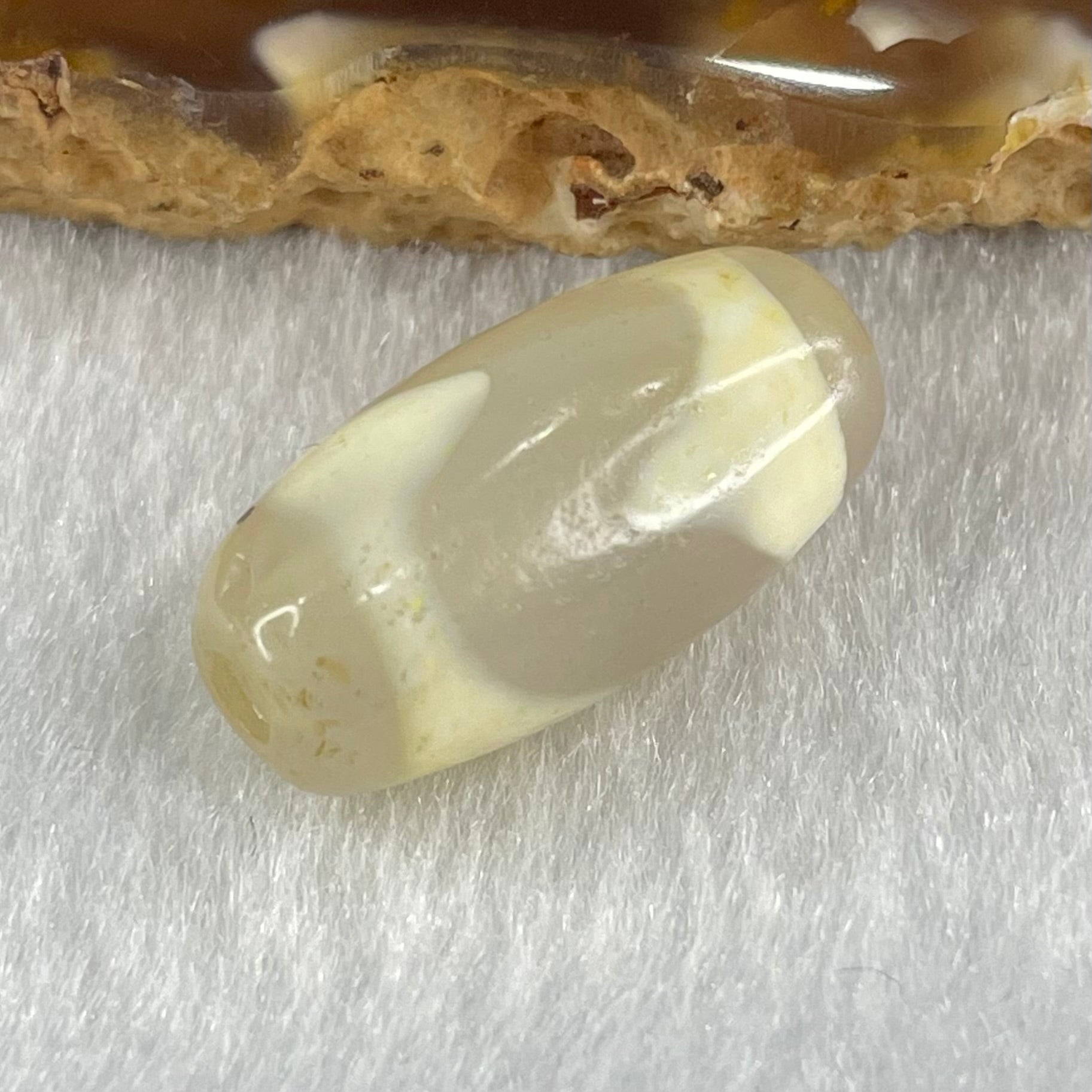 Natural Powerful Tibetan Old Oily Agate Tiger Tooth Daluo Dzi Bead Heavenly Master (Tian Zhu) 虎呀天诛 3.07g 20.1 by 10.3mm - Huangs Jadeite and Jewelry Pte Ltd