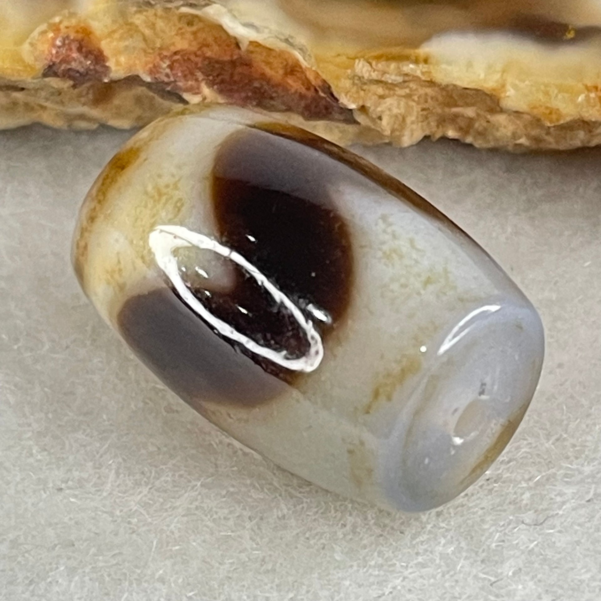 Natural Powerful Tibetan Old Oily Agate Tiger Tooth Daluo Dzi Bead Heavenly Master (Tian Zhu) 虎呀天诛 4.90g 18.7 by 12.4mm - Huangs Jadeite and Jewelry Pte Ltd