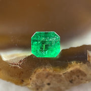 Natural Colombia Green Emerald (Beryl) Cut-Cornered Rectangular step cut 0.53ct 4.9 by 4.6 by 3.7mm - Huangs Jadeite and Jewelry Pte Ltd