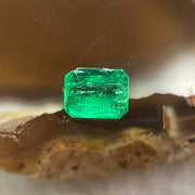 Natural Colombia Vivid Green Emerald (Beryl) Cut-Cornered Rectangular Step cut 0.40ct 5.2 by 3.5 by 2.4mm - Huangs Jadeite and Jewelry Pte Ltd
