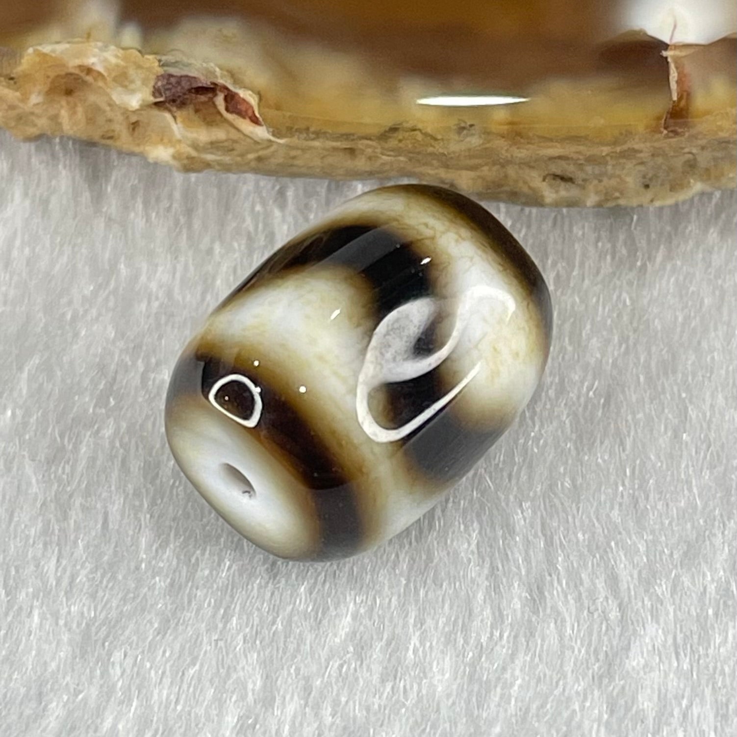 Natural Powerful Tibetan Old Oily Dark Brown with White Agate Tiger Tooth Daluo Dzi Bead Heavenly Master (Tian Zhu) 2.84g 13.7 by 10.9mm - Huangs Jadeite and Jewelry Pte Ltd