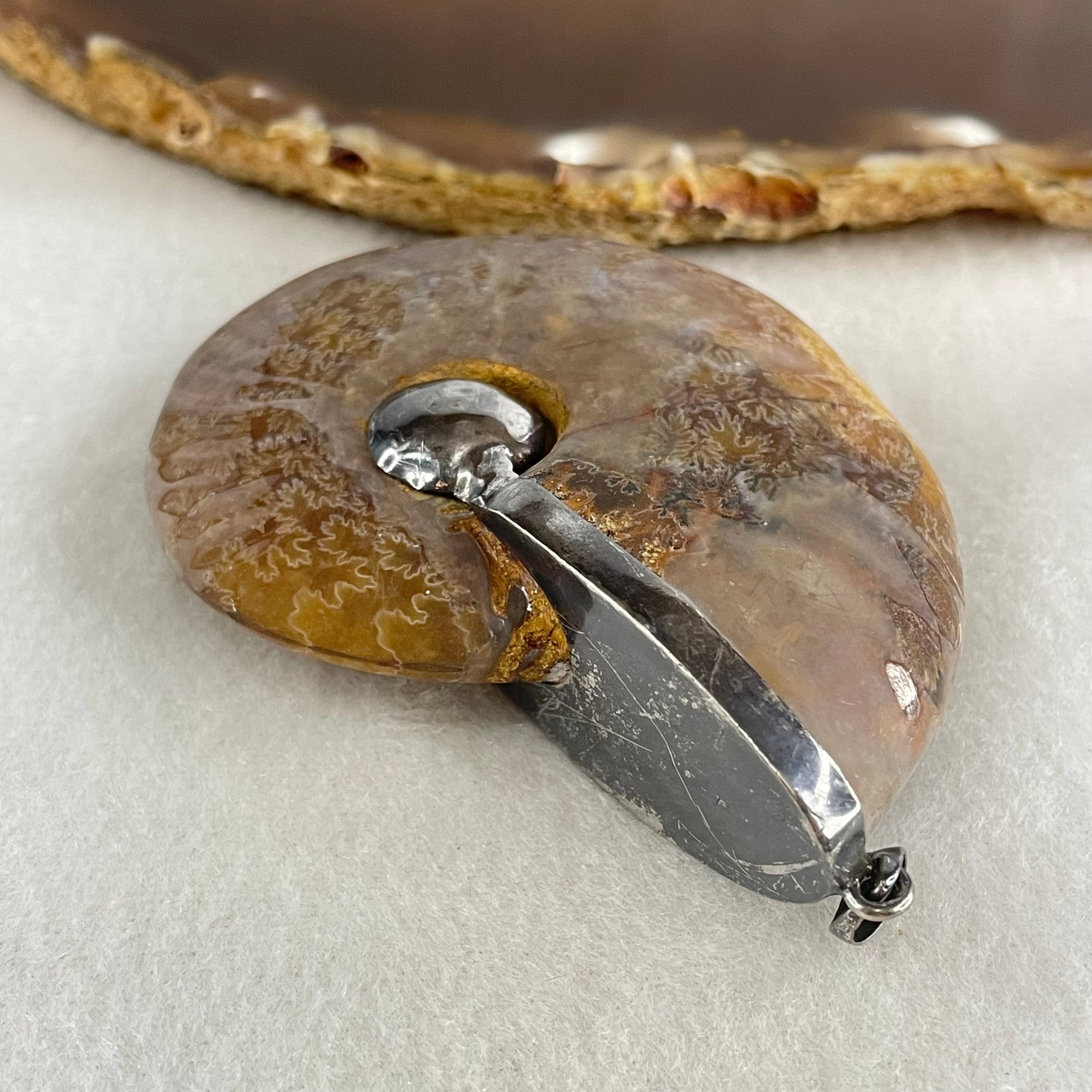 Natural Ammonite Fossil in Silver Pendant 71.05g 62.6 by 51.9 by 17.4mm - Huangs Jadeite and Jewelry Pte Ltd