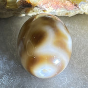 Natural Powerful Tibetan Old Oily Agate 4 Nectar Vessel Dzi Bead Heavenly Master (Tian Zhu) 花蜜容器天珠 2.63g 14.1 by 11.3mm - Huangs Jadeite and Jewelry Pte Ltd