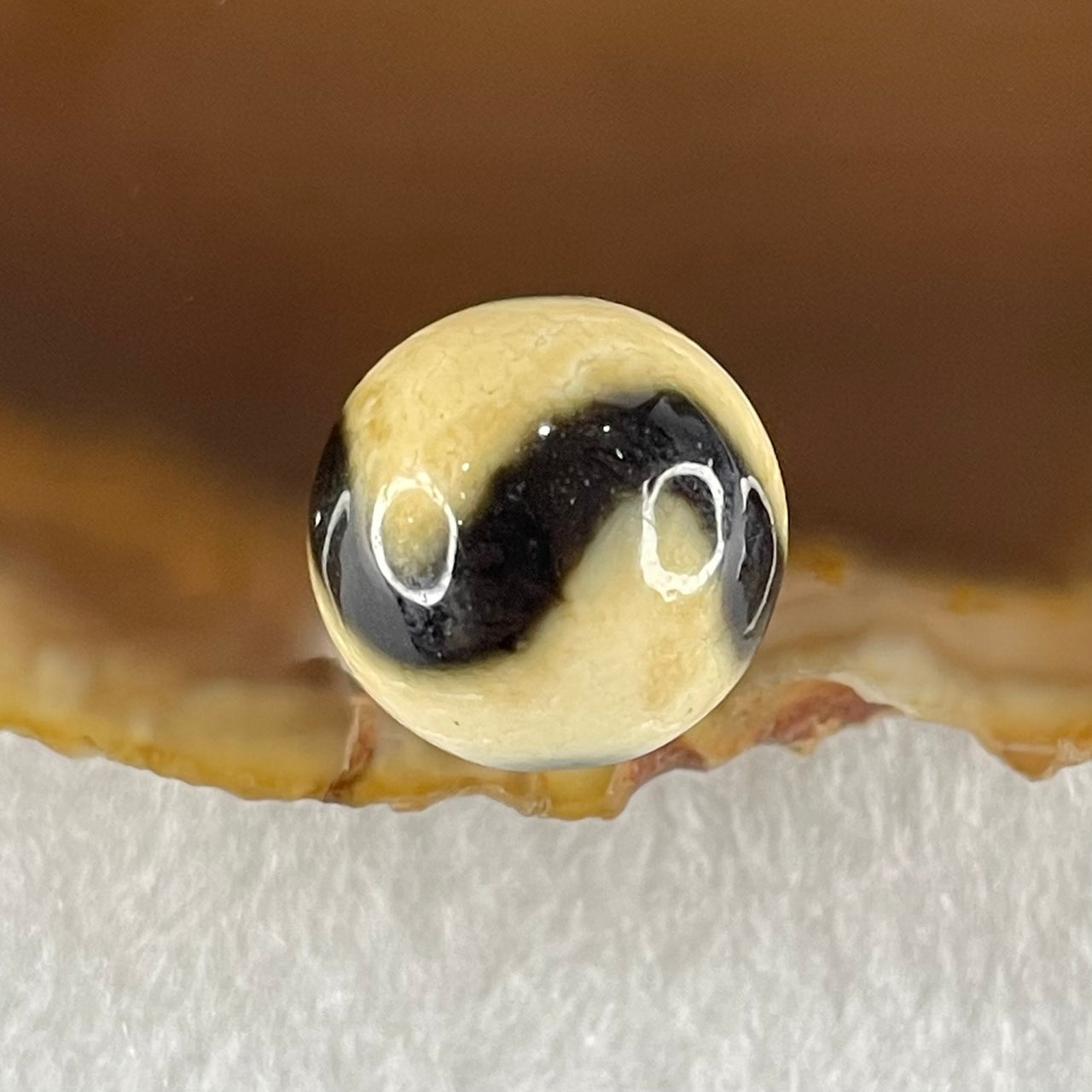 Natural Powerful Tibetan Old Oily Yellowish White with Black Agate Tiger Tooth Daluo Dzi Bead Heavenly Master (Tian Zhu) 虎呀天诛 3.56g 13.7mm - Huangs Jadeite and Jewelry Pte Ltd