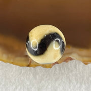 Natural Powerful Tibetan Old Oily Yellowish White with Black Agate Tiger Tooth Daluo Dzi Bead Heavenly Master (Tian Zhu) 虎呀天诛 3.56g 13.7mm - Huangs Jadeite and Jewelry Pte Ltd