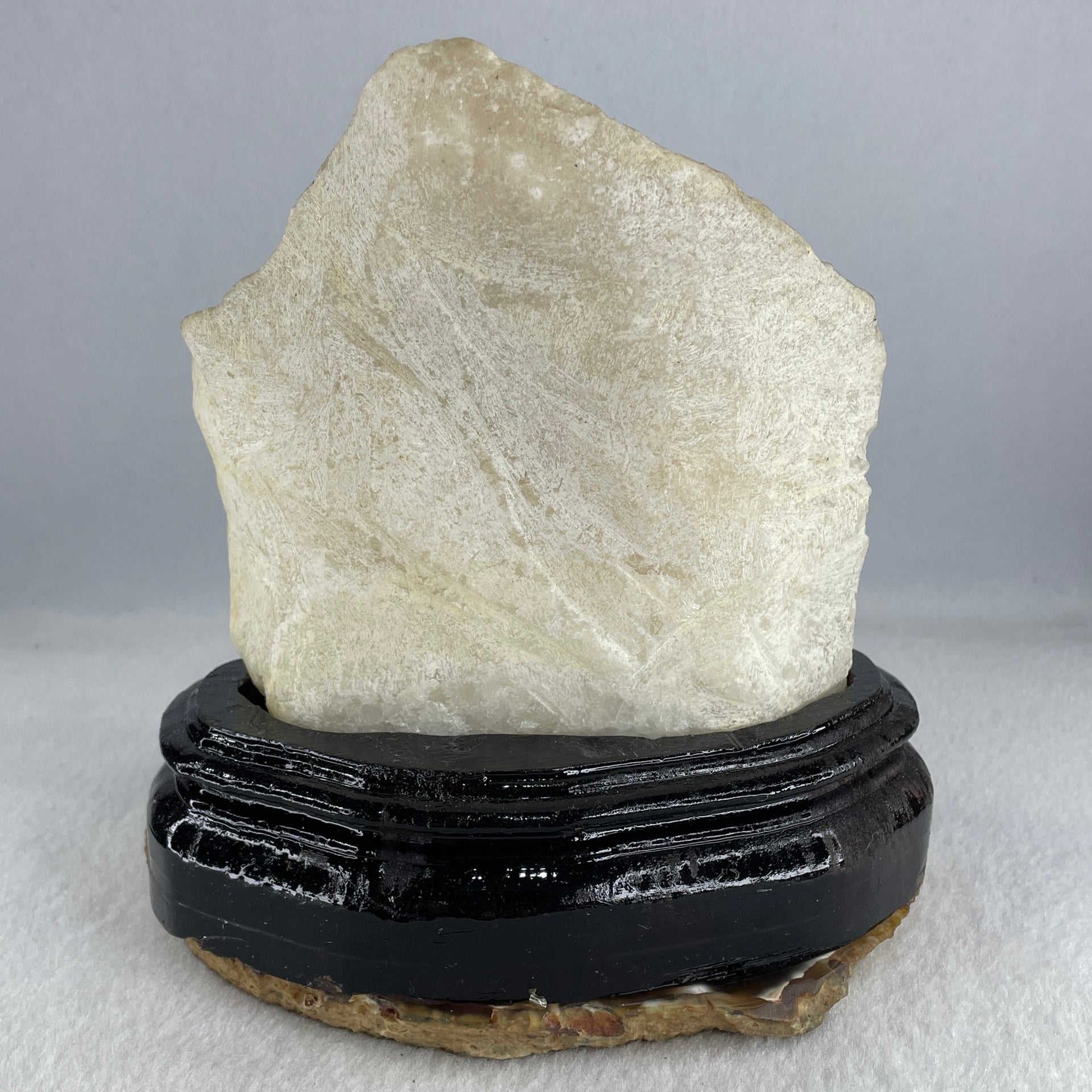 Natural Limestone Display Seashell with Wooden Stand 912.8g 150.0 by 88.0 by 142.0mm - Huangs Jadeite and Jewelry Pte Ltd
