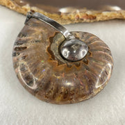 Natural Ammonite Fossil in Silver Pendant 61.42g 56.0 by 44.4 by 18.4mm - Huangs Jadeite and Jewelry Pte Ltd