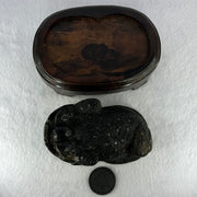 Rare Natural Tibetan Meteorite Tektite 3 Legged Toad with Wooden Stand Display 2,345.1g 170.0 by 118.0 by 125.0mm - Huangs Jadeite and Jewelry Pte Ltd