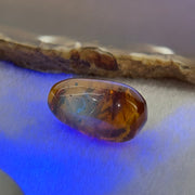 Natural Amber For Setting 3.60g 26.6 by 15.1mm - Huangs Jadeite and Jewelry Pte Ltd