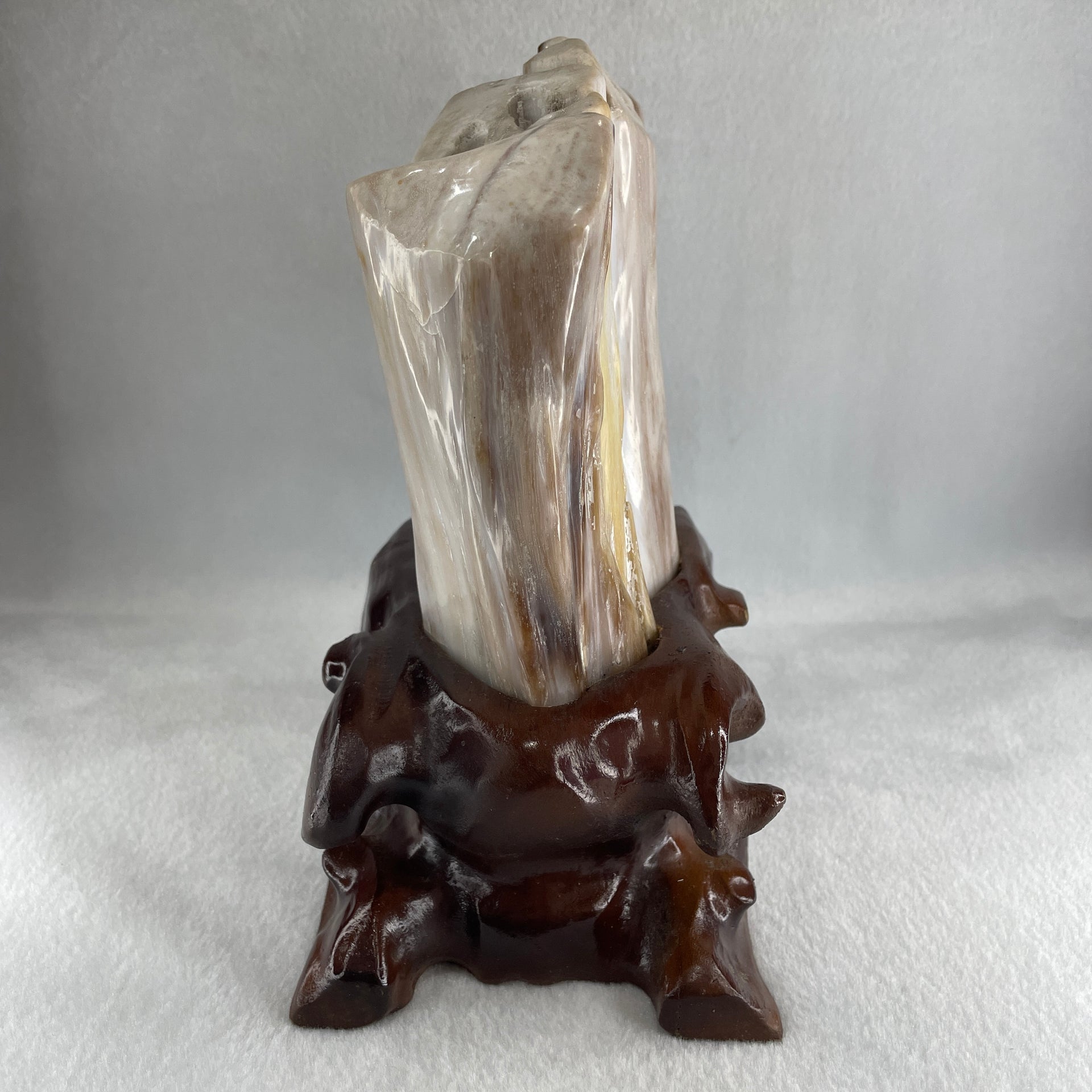 Natural White Yellow Brown Fossilised Petrified Wood with Wooden Stand Display 1,877.7g 160.0 by 107.0 by 200.0mm - Huangs Jadeite and Jewelry Pte Ltd