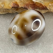 Natural Powerful Tibetan Old Oily Agate 4 Nectar Vessel Dzi Bead Heavenly Master (Tian Zhu) 花蜜容器天珠 2.63g 14.1 by 11.3mm - Huangs Jadeite and Jewelry Pte Ltd