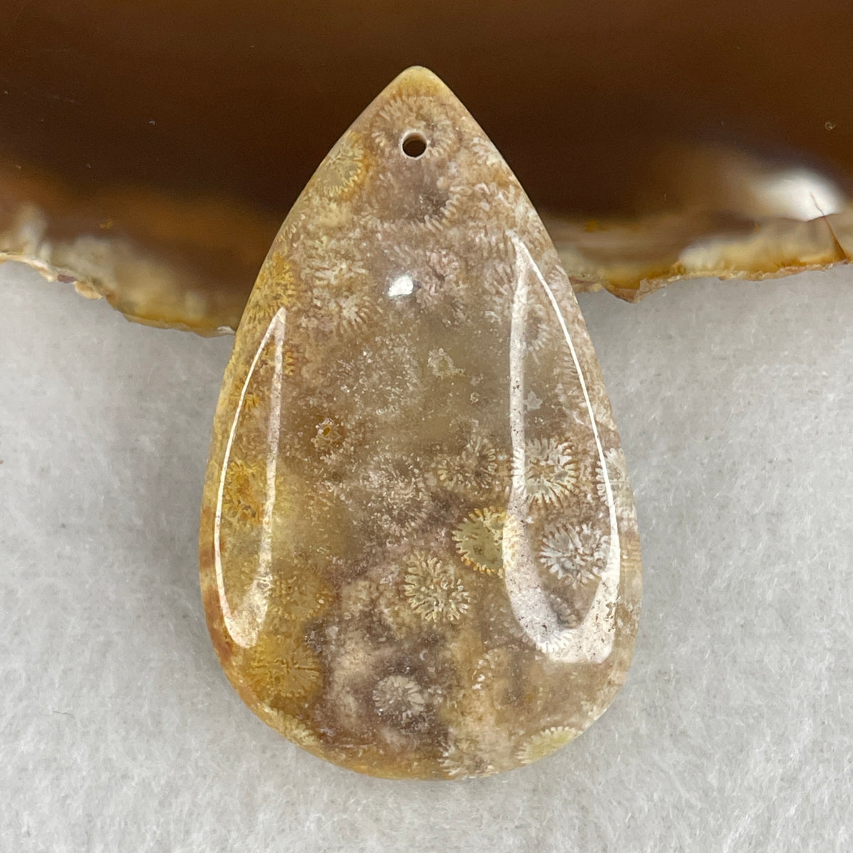 Natural Agatized Fossil Coral Teardrop Pendant | Ancient Botanical Star Pattern Fossil Gemstone (18.55g | 48.2 x 30.1 x 8.3mm)