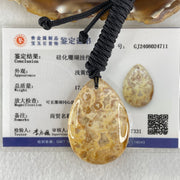 Natural Brown Coral Agate Pendant 17.27g 42.5 by 31.0 by 9.0mm - Huangs Jadeite and Jewelry Pte Ltd